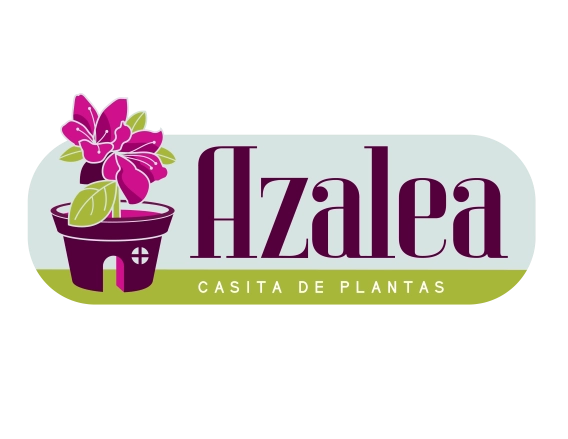 Azalea Casita de Plantas